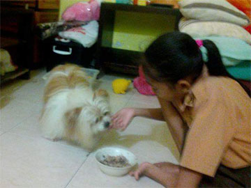 Melly Moo - Lapak Tukang Pet Sitter