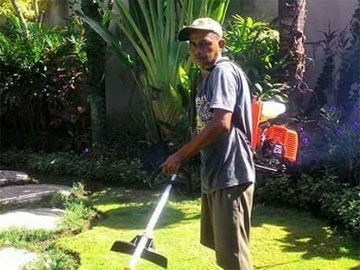 Sobediao Soarez - Lapak Tukang Kebun