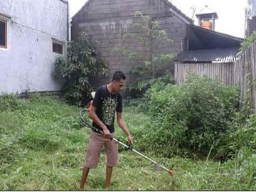 Sobediao Soarez - Lapak Tukang Kebun