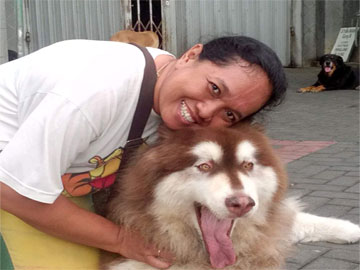 Melly Moo - Lapak Tukang Pet Sitter