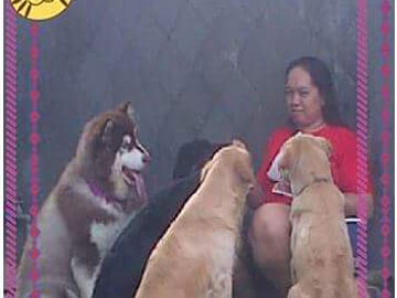 Melly Moo - Lapak Tukang Pet Sitter